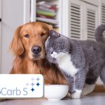 BENEO introduces ingredient for pet food applications