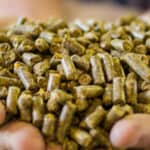 Barentz acquires Pestell Nutrition Inc. in North America