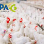 CCPA holds first scientific forum on Scutellaria baïcalensis and Curcuma in poultry