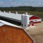 Cargill and BinSentry partner to optimize Brazil’s animal feed supply chains