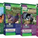 Cargill launches poultry feed with essential oils