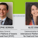 European insect sector is committed to providing innovative and sustainable solutions