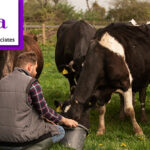 Pda: Companies with natural, non-antibiotic, non-drug products skip Canada