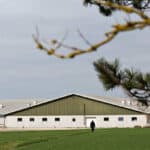 DSM-Novozymes Alliance launches its new generation phytase, HiPhorius