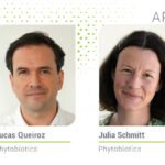 Dairy cow health under heat stress: The role of isoquinoline alkaloids