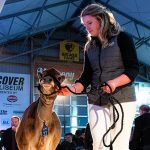 Dairy industry gathers for 11th edition of CDX