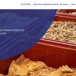 EFFPA presents its new website