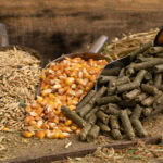 EU feed production expected to reach 146.1 million tons