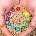 Global Feed Vitamins Market and Trends