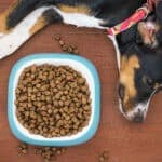 IFEEDER finds demand for animal food strong, despite COVID-19