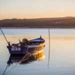 IFFO: Global fishmeal and fish oil production well on track