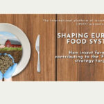 IPIFF to hold annual conference on November 16 in Brussels