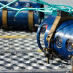 Innovasea adds Atlantic salmon algorithm to BiomassPro