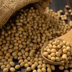 Innovative soy supply expected to cut broiler feed emissions