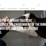 Lallemand launches ruminant digestive health program