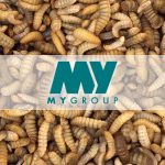 MYGroup to scale up production with first BSF farm