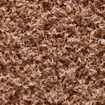 Nasekomo improves insect protein production efficiency with new suspension technology