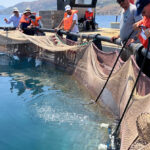 New aquaculture centre supports sustainable fish farming in Mediterranean