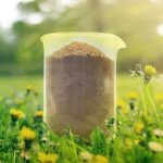 New study demonstrates positive effects of insect-based cat food