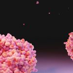 Novus and Ginkgo Bioworks team up to develop innovative feed additives