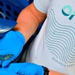 Onda expands services into whiteleg shrimp with satellite facility