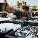 Overfishing in Mediterranean and Black Sea falls to lowest level in a decade