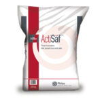 Phileo announces yeast probiotic Actisaf® Sc 47 HR+ for poultry
