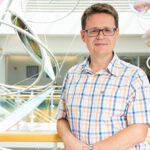 Pig immune system insights could boost influenza vaccine development