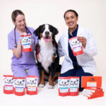 Pooch & Mutt debuts at-home dog gut health test