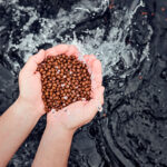 Rangen secures first ASC Feed Certification for US