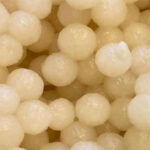 Researcher explores waste-based feed protein production