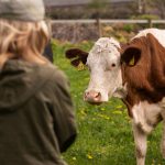 Rumin8 secures first regulatory approval in Brazil for its feed additive