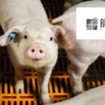 Rusagro starts-up meat processing plant in Primorsky Krai