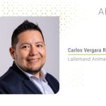 Safeguarding probiotics in ruminant feed production