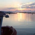 SeaBOS speeds up action for sustainable seafood