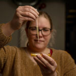 Selective breeding increases omega-3 content of microalgae