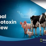 Selko reveals 2024 Global Mycotoxin Review findings