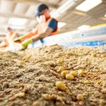 SugaRich strengthens its position in UK feed industry