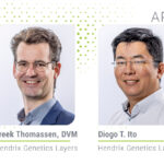 The importance of preventing Salmonella in laying hens