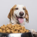 Wilbur-Ellis and Bond join forces for sustainable pet food ingredients
