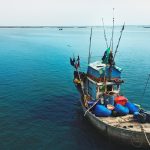 World's reduced fishmeal production offsets by Peru's supply
