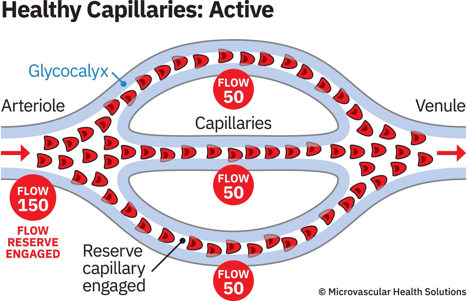 cap-healthy-active-MHS-1500