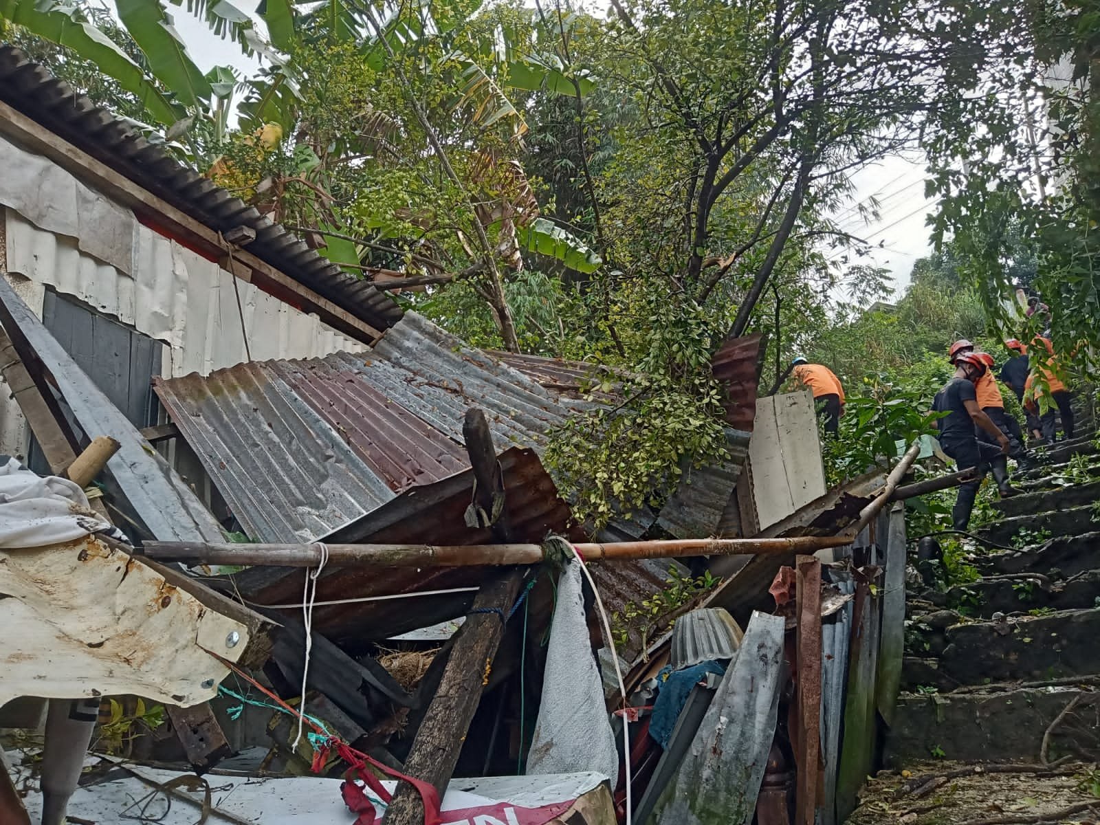 Pemprov Sulsel Gerak Cepat Beri Bantuan Warga Rumahnya Tertimpa Pohon di Parepare