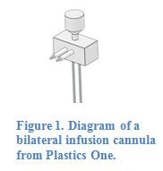 bilateral infusion cannula from plastics one