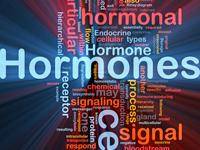 Hormones, wellness, bioidentical hormones, wellness by design, carol Petersen, nutrition, hormone balance, hormone imbalance, hormone coaching, certified nutritional practitioner, integrated medicine, take charge of your health, pharmacy compounding, hormone therapies, bioidentical hormone therapies, hydrocortisone, health lifestyle