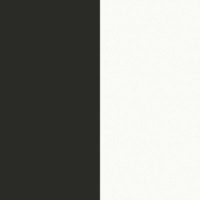 Papel Pintado Rayas Minimal Negro y Blanco