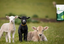 Biochem expands RumiPro product line