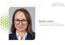 From Ingredients to Strategy: Rethinking Antioxidant Defense