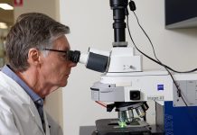 MicroBioGen and Novonesis expand yeast partnership