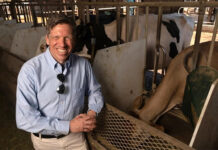 New study may clarify how seaweed cuts cow methane